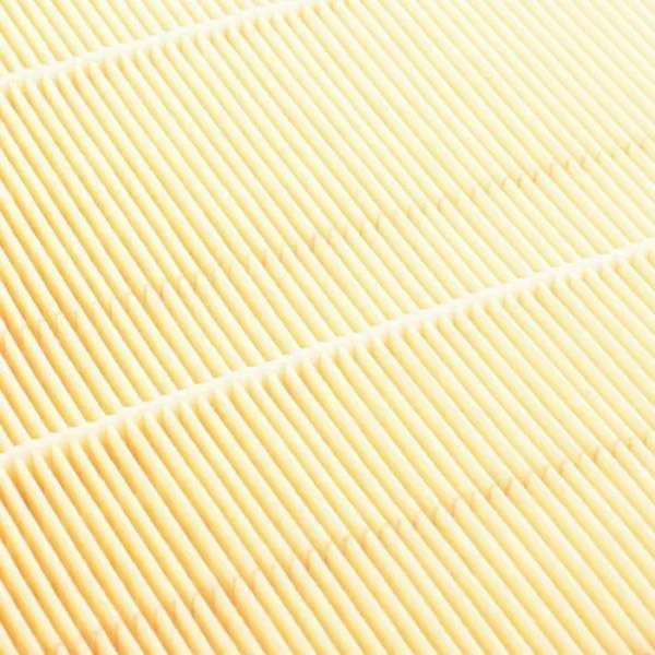 Genuine BMW OEM Replacement Air Filter F87 M2 N55 (OG)