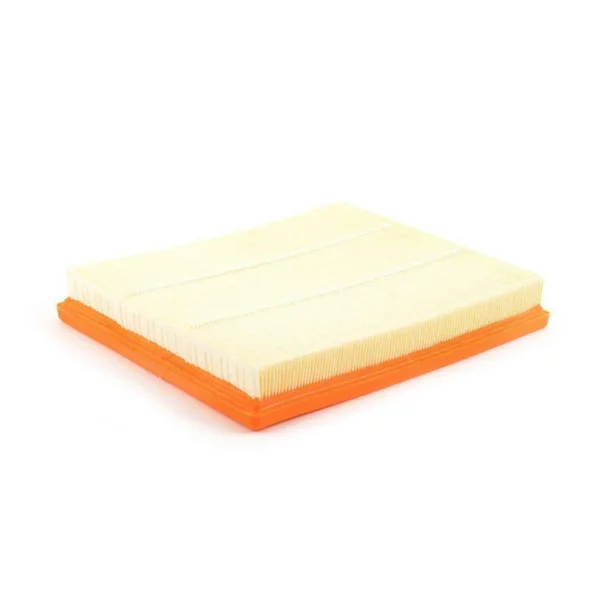 Genuine BMW OEM Replacement Air Filter F87 M2 N55 (OG)